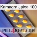 Kamagra Jelly 100 cialis1